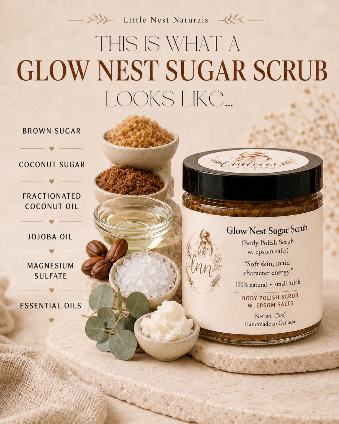 Nest Bestsellers Bundle